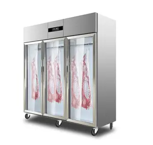 Profession elle Rindfleisch herstellung Maschine Fleisch Trocken alterung Kühlschrank