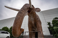 Éléphant d'Afrique personnalisé grandeur nature modèle animatronique du fabricant animal mécanique en métal simulé pour les occasions publiques