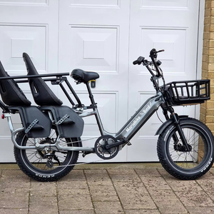 <span class=keywords><strong>Mario</strong></span> 750w Véhicule utilitaire électrique multifonction alimenté par une batterie au lithium 48v - Product Image 1