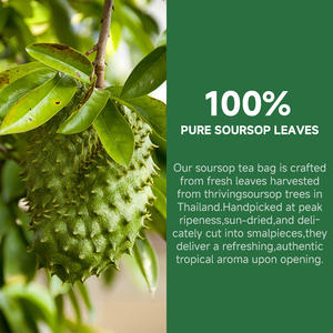 Chinapherds produk kesehatan, kantung teh daun Soursop Organik produk kesehatan kaya vitamin - Product Image 3