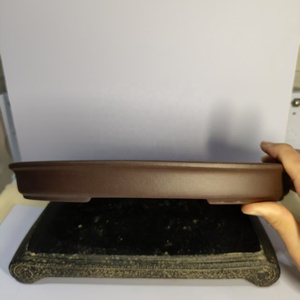 Vasi per Bonsai Yixing Non Smaltati Vaso Ovale Basso - Product Image 5