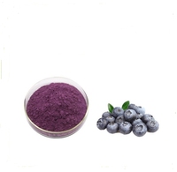 Poudre d'extrait de fruits personnalisable (myrtille, fraise) de qualité alimentaire, emballage en conserve, couleurs personnalisées pour compléments vitaminiques complexes