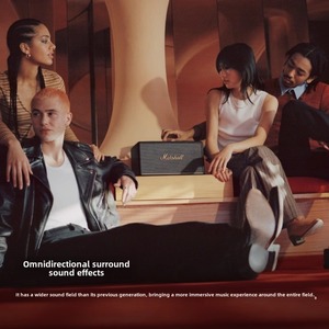 Profesyonel Stereo V5.2 Hoparlör Çift Amplifikatör 100-300W Çıkış 3000-5000mAh Pil 97dB SPL 3.5mm <span class=keywords><strong>RCA</strong></span> Giriş Sınıf D - Product Image 5