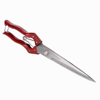 Ciseaux à laine professionnels en acier inoxydable pour moutons, faciles à utiliser, longueur 30/34 cm, garantie 6 mois - Marque Bolu, état neuf