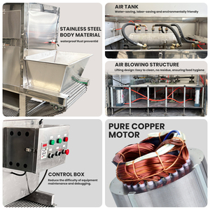 Máquina Peladora de <span class=keywords><strong>Ajo</strong></span> Automática Tipo Cadena 200kg/h, Peladora de <span class=keywords><strong>Ajo</strong></span> Industrial de Acero Inoxidable para Fábrica de Alimentos, Certificación CE - Product Image 4