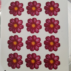 Nouvelles feuilles de glaçage comestibles pour la décoration de gâteaux, papier d'impression <span class=keywords><strong>comestible</strong></span>, fournitures de pâtisserie, outils de décoration de gâteaux - Product Image 3