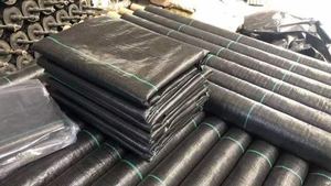 Plastic Mulch Ground Cover Woven Landscape Fabric - Product Image 6