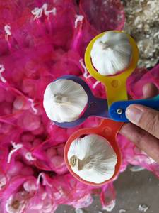 Exportadores de ajo blanco fresco Ajo Alho con bolsa de malla embalaje para alimentos nuevo cultivo de ajo al por mayor - Product Image 4