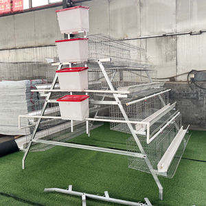 Cage à <span class=keywords><strong>poules</strong></span> pondeuses de type A, cage à batterie pour <span class=keywords><strong>poules</strong></span> pondeuses, 96/120/128/160 oiseaux, utilisation en maison, 3/4 niveaux, cage à <span class=keywords><strong>poules</strong></span> pondeuses pour élevage avicole - Product Image 3