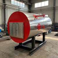 Chaudière à vapeur électrique horizontale entièrement automatique en acier inoxydable 2T pour le durcissement du ciment