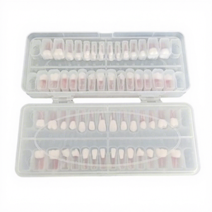Práctica de Examen Dental: Gránulos de Resina para Conductos Radiculares Orales, 28 Dientes Completos Ex Vivo, Portátil, para Uso en Laboratorios Escolares/<span class=keywords><strong>Universitarios</strong></span> - Product Image 5