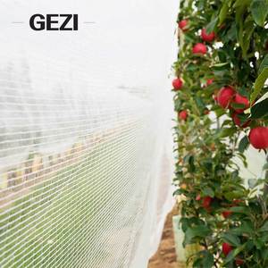 Red de Protección Contra Granizo para Viñedos, Transparente, Forma de Media Luna, Malla de 60g 80g para Granjas Vinícolas de Georgia - Product Image 5