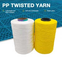 3000 Denier Multifilament PP Yarn Twisted for Ribbon and Hand Knitting