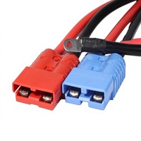 Câble de batterie en cuivre pur 50A avec isolation en PVC pour la charge de véhicules