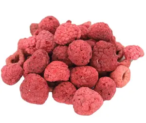 European hot sales on TTN wholesales 100% natural whole dice crushed powder pure freeze dried raspberry