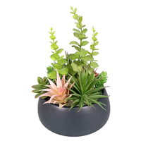 Fabricant Oh Arts Vente en Gros Plantes de Simulation Plantes Succulentes Artificielles Avec Pot Exquis Pour Décoration de Fenêtre