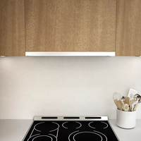 Hotte de Cuisine 600 mm en Acier Inoxydable Prix Usine, à Extraction d'Air Puissante pour Meuble Haut Intégré