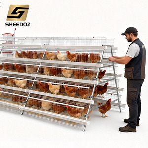 Cage à <span class=keywords><strong>poules</strong></span> <span class=keywords><strong>pondeuses</strong></span> galvanisée <span class=keywords><strong>pour</strong></span> l'élevage de <span class=keywords><strong>poules</strong></span> <span class=keywords><strong>pondeuses</strong></span>, équipement d'élevage avicole - Product Image 6