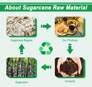 <span class=keywords><strong>Plateau</strong></span> robuste compostable à 2 compartiments pour aliments, café et boissons, en bagasse de canne à sucre, avec porte-gobelet, idéal pour le brunch - Product Image 5