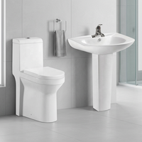 Ensemble WC monobloc élégant avec chasse d'eau double, installation au sol, incluant cuvette en céramique blanche