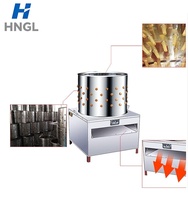 Machine à plumer les volailles commerciale, en acier inoxydable, pour poulets, canards, oies et dindes