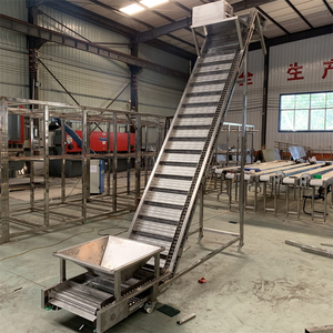 Trasportatore a catena a doghe per trasferimento, - Product Image 4