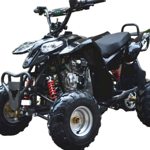 Very Rare 300cc Quad ATV with Manual Transmission System Shaft Drive and Differential Lock Equipped 300cc Quad Bike
