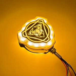 1*PCS Luz LED de logotipo iluminada para parrilla de camión <span class=keywords><strong>SCANIA</strong></span> V8 24V con lente Hawk blanca/amarilla/roja - Product Image 4