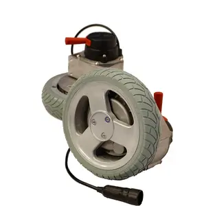 Borstelloze Motor 250W 8 Inch Motoren Voor Elektrische Rolstoel Wiel Motor Voor Rolstoel