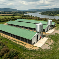 Poulailler moderne en structure acier à grande portée, anti-corrosion, avec ventilation intégrée, personnalisable pour l'élevage de volailles