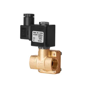 Factory direct sales Pilot type normally closed solenoid valve High pressure resistant solenoid water valve/gas valve AC220V