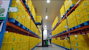 Shandong ชิปผลไม้อบแห้งชิปผักอบแห้งกรอบกระเจี๊ยบเขียวอบแห้งแอปเปิ้ลที่ดีต่อสุขภาพ - Product Image 5