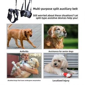 Imbracatura di Supporto per la Mobilità degli Animali Domestici con Etichetta Privata Personalizzata, Taglie S-XL, Imbracatura Completa per Cani Anziani, Produzione e Fornitura - Product Image 4