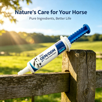 Complément nutritionnel aromatisé à la pomme pour chevaux, fournissant une nutrition quotidienne, vente directe d'usine OEM