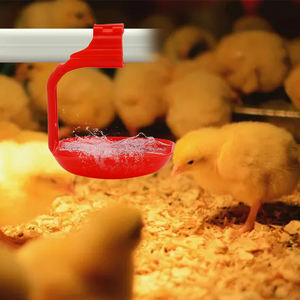 Granja avícola colgar vasos <span class=keywords><strong>para</strong></span> beber <span class=keywords><strong>de</strong></span> pollo <span class=keywords><strong>precio</strong></span> bajo sistema bebedero <span class=keywords><strong>de</strong></span> pollo <span class=keywords><strong>bebederos</strong></span> <span class=keywords><strong>para</strong></span> <span class=keywords><strong>pollos</strong></span> - Product Image 6