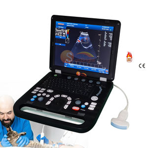 Draagbare VET-laptop 3D PW medische elastografie echografiemachine 15 inch kleuren Doppler sonografie <span class=keywords><strong>USG</strong></span>-apparaat - Product Image 1