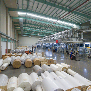 2025 bán chạy nhất tự dính giấy bền flexography in Bopp một mặt - Product Image 2