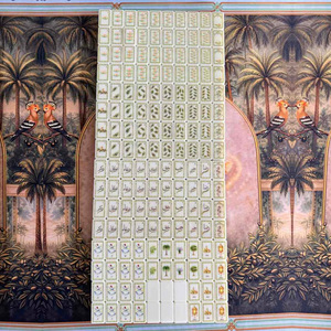 Juego de Mahjong de Lujo SHUKR de 160 Piezas, Moderno, Plegable, de Acrílico Tallado Doble con Diseño de Perlas para Navidad - Product Image 6