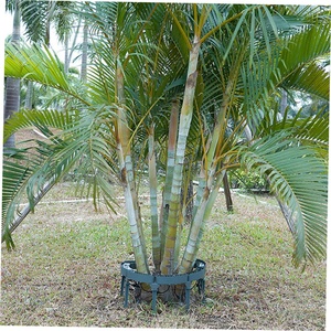 Cây ôm ánh sáng 12W DIY nối chèn mặt đất ngoài trời DMX cảnh quan vườn vòng ánh sáng <span class=keywords><strong>IP65</strong></span> không thấm nước dẫn chiếu sáng cây - Product Image 4