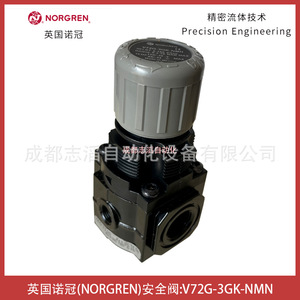 วาล์วนิรภัยนอร์เกรน รุ่น V72G-3GK-NMN เกลียวขนาด 1/2 นิ้ว สำหรับแก๊ส อุณหภูมิปกติ - Product Image 2