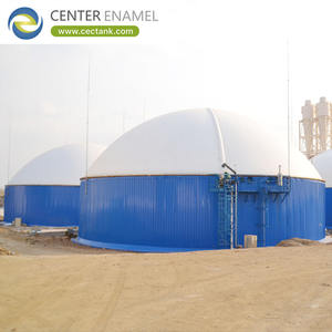 أكثر من 30 عامًا من عمر الخدمة ، هاضم الغاز الحيوي لمصنع الغاز الحيوي - Product Image 3