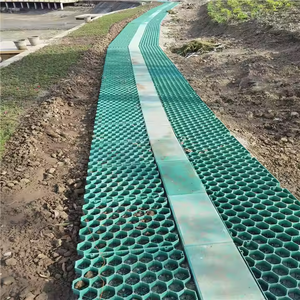 Precio barato al por mayor respetuoso con el medio ambiente Diseño Industrial PP HDPE herramienta de diseño de rejilla de plantación para estacionamientos piscifactorías presa - Product Image 4