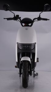 Bicicleta Eléctrica SAIGE con Pedaleo Asistido para Entrega de Comida, 60v 800w 25km/h - Product Image 5