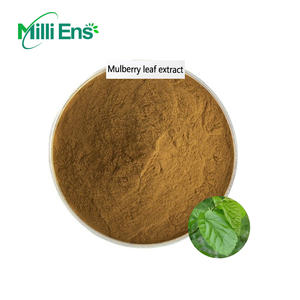 도매 천연 유기농 뽕나무 잎 추출물 분말 1-dnj 10% 뽕나무 잎 추출물 - Product Image 1