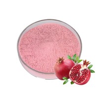 Poudre de Fraise pour Boissons et Transformation Alimentaire
