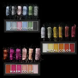 2019 Hot Selling 6 Farben Metallic Neon Aquarell Farbe Set 3 Arten von Farbe Set