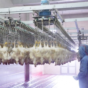 Mini Matadero Automático de Pollos de 1000-1500 Aves por Hora - Product Image 1