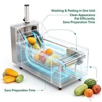 DXP-150 Meloen Schilmachine, verstelbare schil-dikte voor papaja, himeloen, voedingsfabriek, kantinebewerking