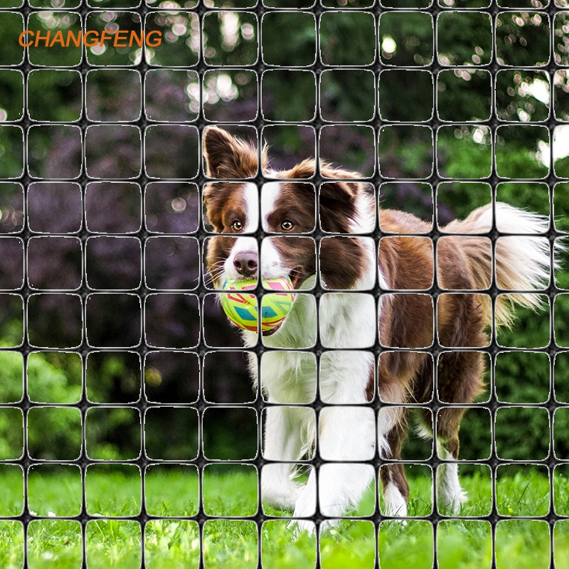 plastic wire mesh for poultry