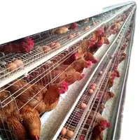 ケニア自動農場亜鉛鶏電池ケージ鶏用鶏層鶏ケージ養鶏場用